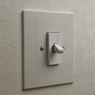 Выключатель накладной одноклавишный (демо)