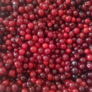 Брусника (упаковка)